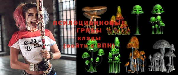 герыч Алексин