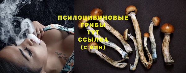 герыч Алексин