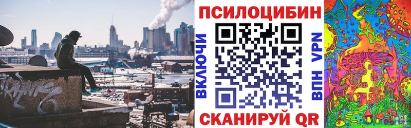 Галлюциногенные грибы GOLDEN TEACHER  Купить закладки  Канаш 